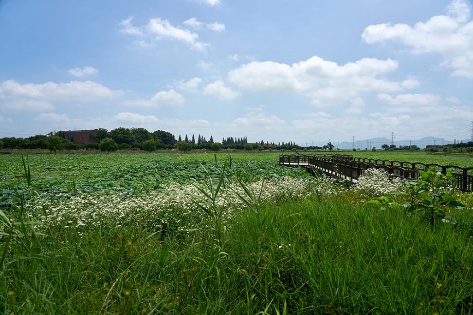 합덕제 수변공원-2