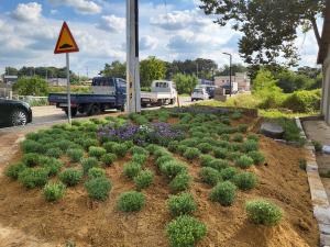 당진 신평면, 빈터 활용한 꽃길 조성에 눈길