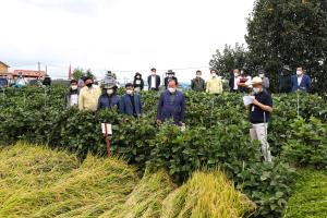 당진시, 고품질화와 생산비 절감 위한 벼농사 종합평가회 열어