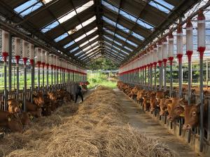 당진시, 축산농가 가축사육밀도 상시 모니터링 추진