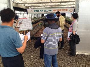 당진시, 기후변화 대비 아열대 작물 재배 첫걸음