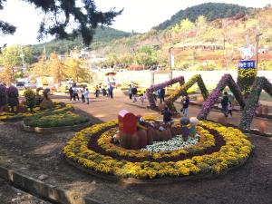 당진시, 국화작품 전시기간 11월 7일까지 일주일 연장