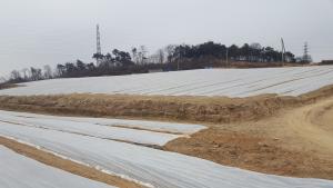 당진시 겨울철 마늘, 양파 월동작물 관리 지도