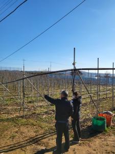 당진시, 과수화상병 예방 위한 철저한 관리 당부