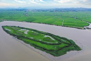 당진시, 우강면 소들섬 야생생물호보구역 지정