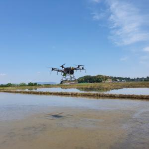 당진시, 첨단 드론 활용 등 벼 직파재배 본격 확대