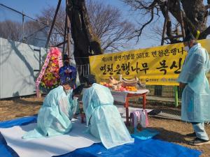 당진시, 천연기념물 면천 은행나무 목신제 개최