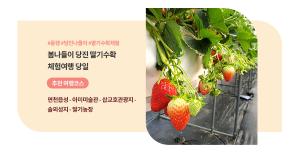 당진시, 봄을 알리는 테마여행 상품 출시