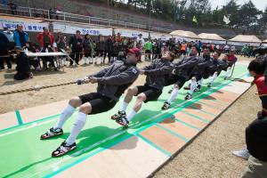 당진시, 기지시줄다리기배 전국 스포츠줄다리기 15일 열려