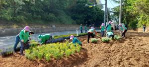 당진시 새마을지도자 면천면 협의회‧부녀회 환경정비 실시