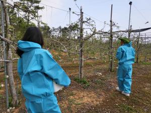 당진시, 과수화상병 예방 위한 현장 대응‘강화’
