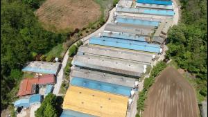 당진시, 아프리카돼지열병(ASF) 방역‘온 힘’