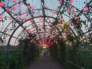 당진 합덕제‧합덕성당, 2022 여름 안심관광지 선정