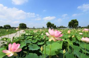 당진시, 일상회복 안심관광지 4곳 선정…충남도 내 최다