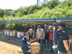 당진시, 양봉 위기 신(新)기술로 활로‘모색’