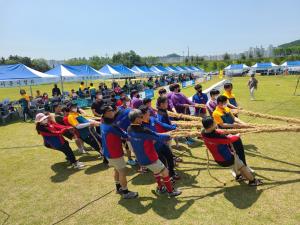당진 기지시줄다리기, 2022 대한민국 줄다리기 큰마당에 참여