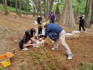 당진시 학생4-H 회원, 환경정화에 구슬땀