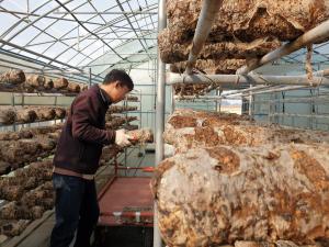 당진시농업기술센터, 신규농업인 현장 실습교육생 모집