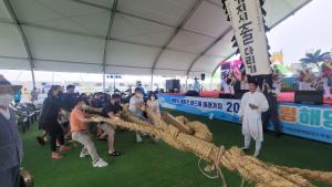 당진 기지시줄다리기, 보령에서도 인기 만점