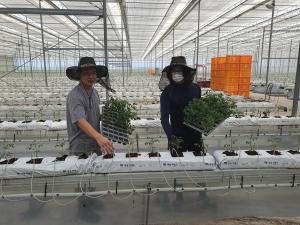 당진 스마트팜 임대사업, 청년 농업인 영농 창업“활발”