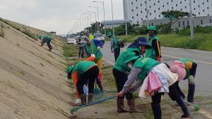 석문면 새마을지도자‧부녀회 협의회, 명절맞이 제초