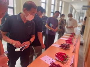 당진시,‘노지채소분야 평가회’개최