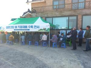 당진시농업기술센터, 벼 직파재배 수확 연시회 개최