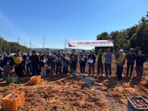 당진시, 국내 육성 신품종 고구마 현장 실증평가회 개최