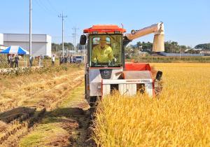 오성환 당진시장, 벼 수확 현장에서 벼 베기 시연