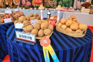 당진시, 2022 품목별 연구회 실적발표회 개최