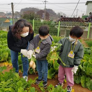 당진시 합덕수리민속박물관, 농사 체험마당‘인기’