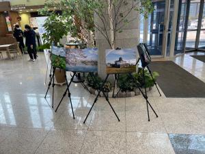 당진시,‘경관 기록단’모집