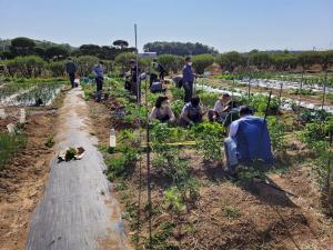 당진시, 2023 도시농업전문가 양성 과정 수강생 모집