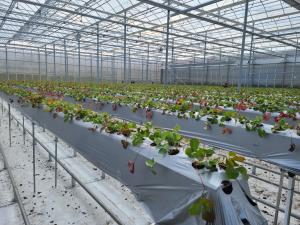 당진시, ‘스마트팜 경영실습 청년농업인’ 모집