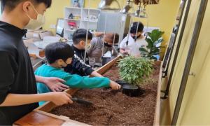 당진시 드림스타트, 재능기부로 원예 치유 프로그램 운영