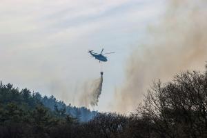 당진시, 산불피해 지원 위한 피해 현황 접수