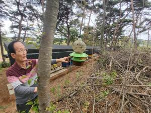 당진시, 친환경방제 말벌 유인액 제조보급으로 적기 방제 실천