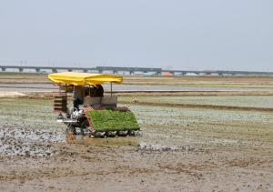 오성환 당진시장, 합덕 모내기 현장 방문해 농업인 격려