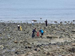당진시, 관민 합동 깨끗한 바다 만들기 캠페인 펼쳐