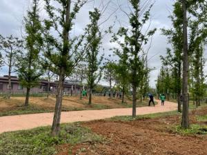 당진시 우강면, 솔뫼성지에 아름다운 꽃바다 조성