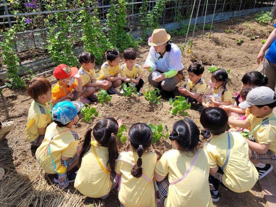 당진시 2023 어린이 농부학교 ‘인기’ 이미지