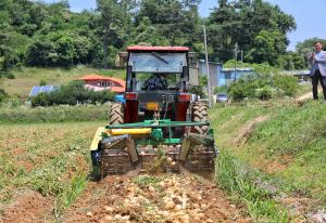 당진시농업기술센터, 친환경감자 시범사업 평가회 실시
