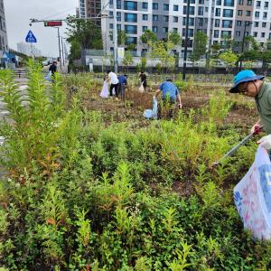 당진 1동, 유관 단체 합동 수청지구 환경 대 청결 활동실시