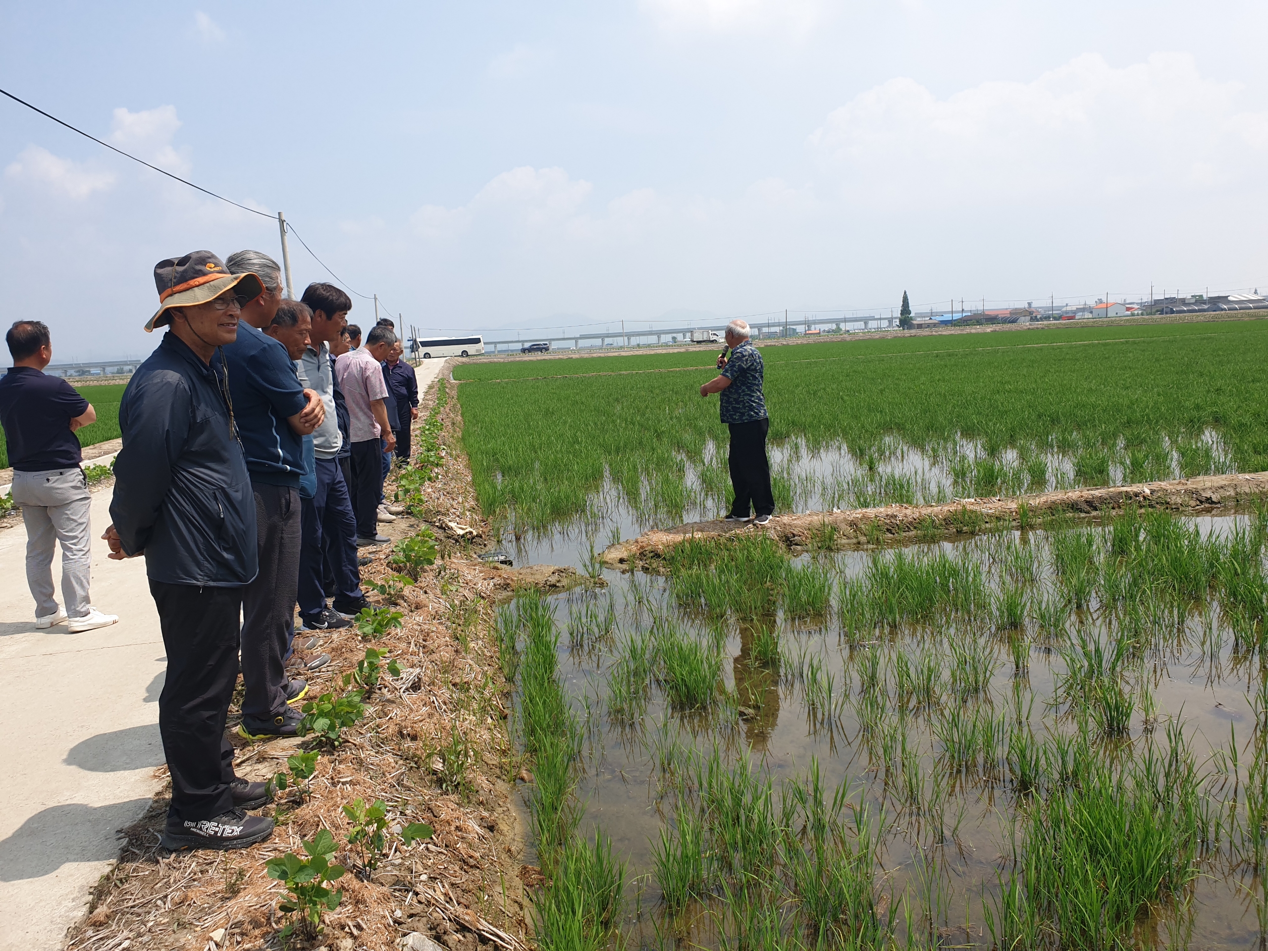 당진시, 벼 직파재배 시범사업 현장평가 추진
