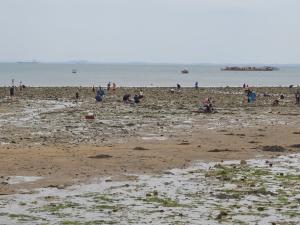 올여름, 당진 왜목마을 해수욕장 어떠세요?