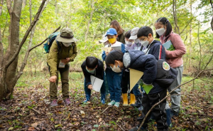 당진 삼선산수목원, 여름 프로그램 운영