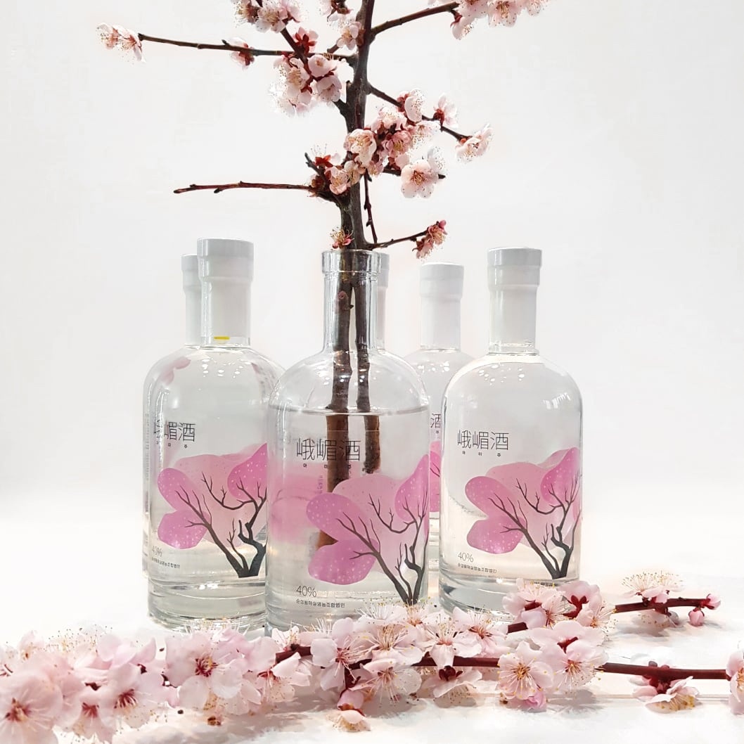 무더운 여름 마무리, 당진‘성지술례’에서