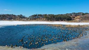 당진시, 생태계서비스지불제 계약사업 신청자 모집