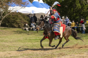 당진시, 면천읍성 전통 무예 재현 및 체험행사 개최