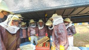 양봉사양관리 기초교육 교육생 모집